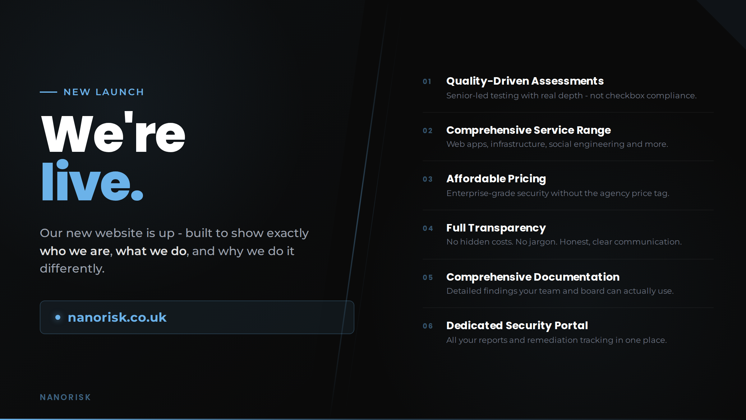 New Nanorisk website launch